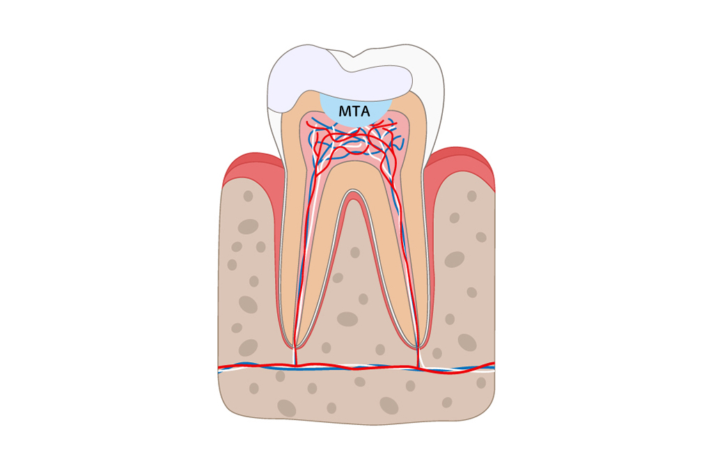 兵庫県南あわじ市・医療法人 太田歯科・矯正歯科